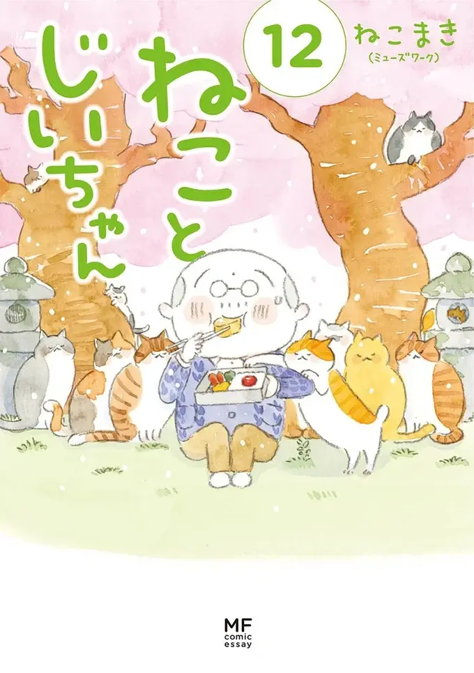 「猫とは奥深いものよ」猫が喜ぶという動画はスルーなのに、なぜこれに食いつく？／ねことじいちゃん12（2）