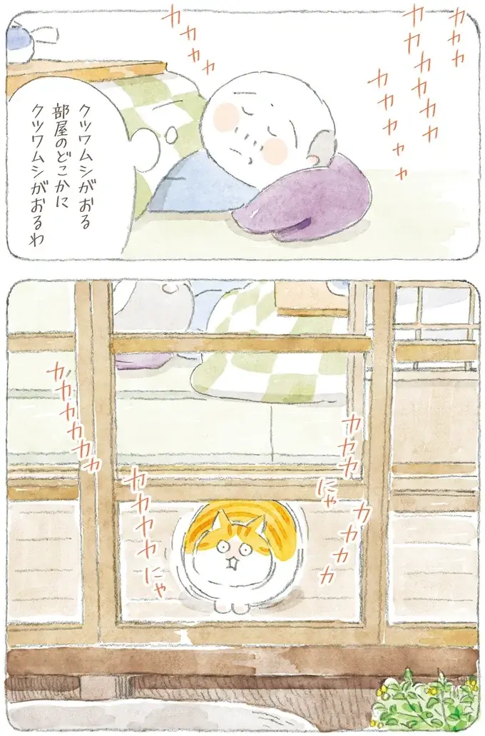 「猫とは奥深いものよ」猫が喜ぶという動画はスルーなのに、なぜこれに食いつく？／ねことじいちゃん12（4）