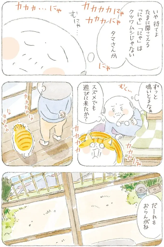 「猫とは奥深いものよ」猫が喜ぶという動画はスルーなのに、なぜこれに食いつく？／ねことじいちゃん12（5）