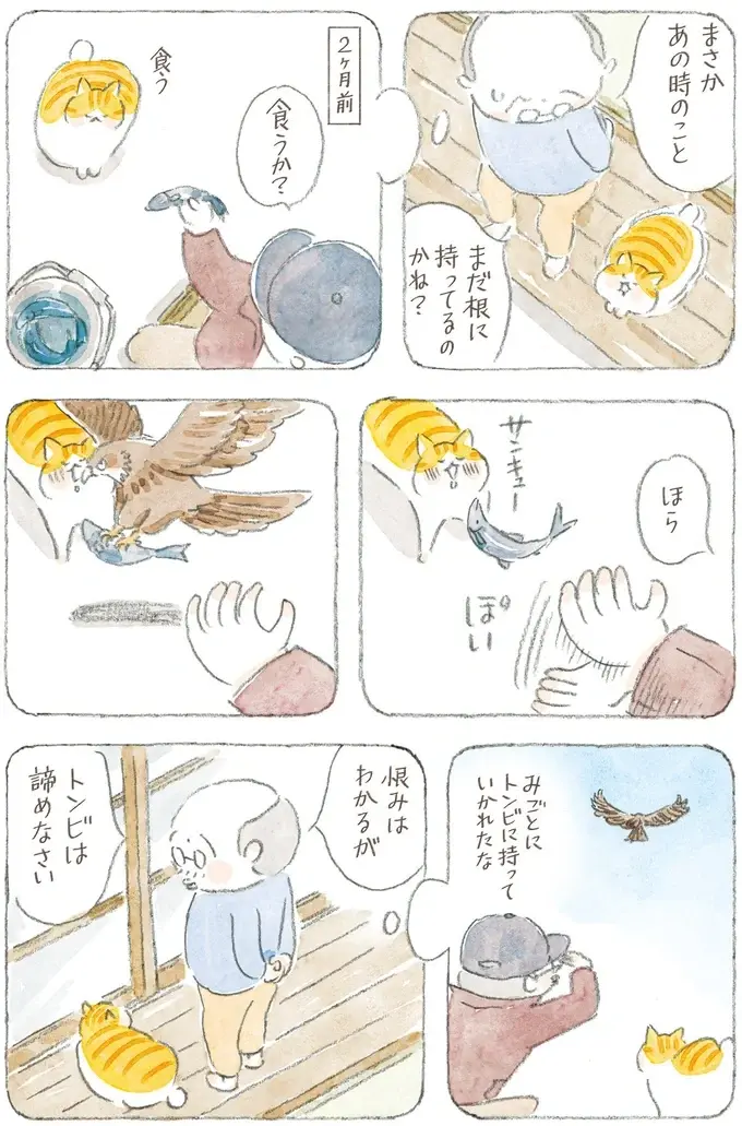 「猫とは奥深いものよ」猫が喜ぶという動画はスルーなのに、なぜこれに食いつく？／ねことじいちゃん12（7）