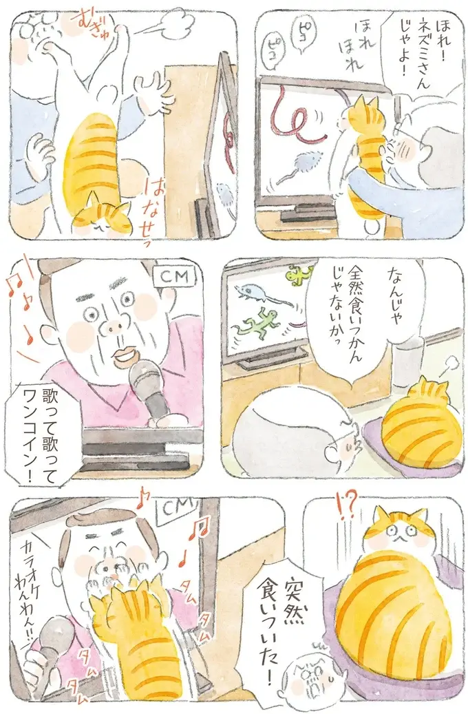 「猫とは奥深いものよ」猫が喜ぶという動画はスルーなのに、なぜこれに食いつく？／ねことじいちゃん12（9）