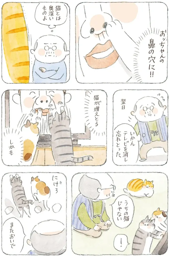 「猫とは奥深いものよ」猫が喜ぶという動画はスルーなのに、なぜこれに食いつく？／ねことじいちゃん12（10）