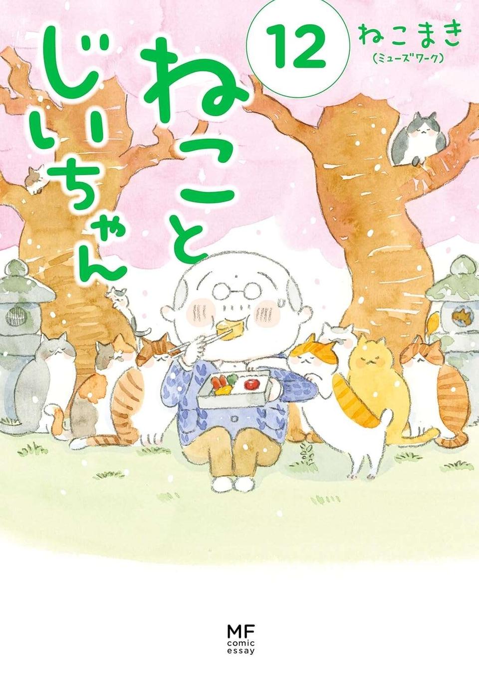 「猫とは奥深いものよ」猫が喜ぶという動画はスルーなのに、なぜこれに食いつく？／ねことじいちゃん12（11）