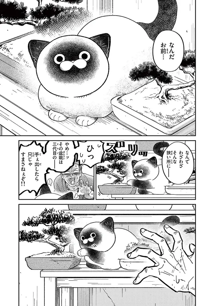 『オヤジとにゃん吉』（10）