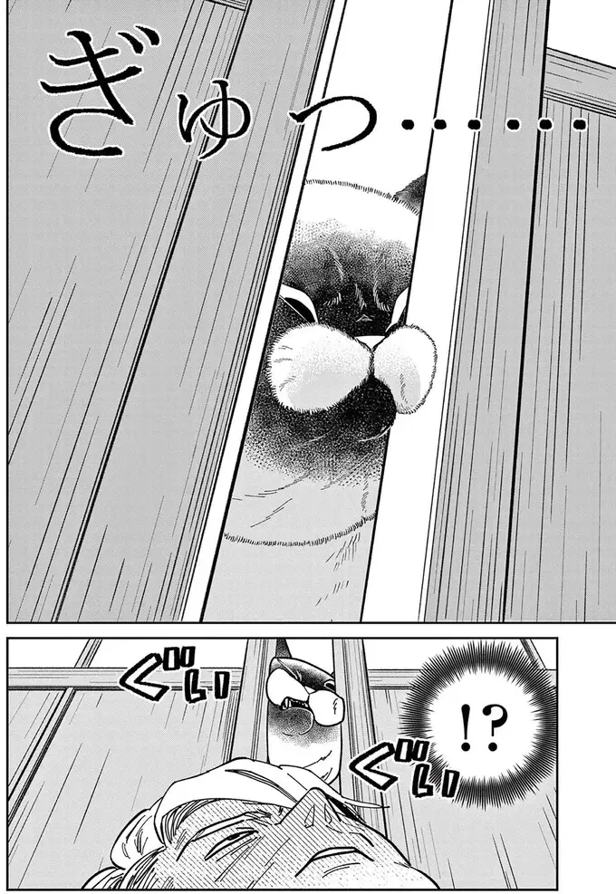 『オヤジとにゃん吉』（256）