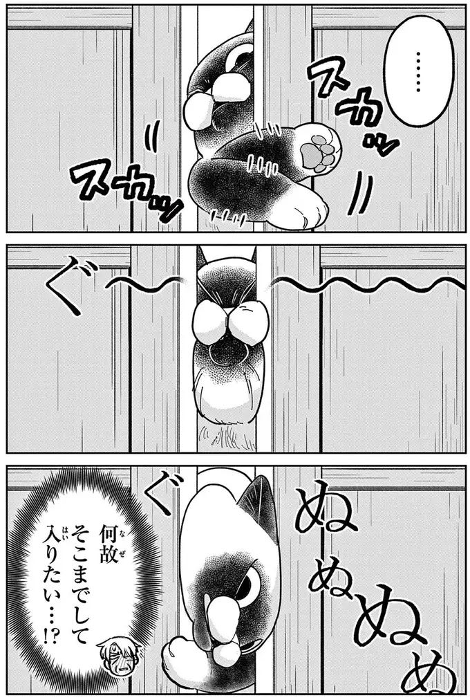 『オヤジとにゃん吉』（257）