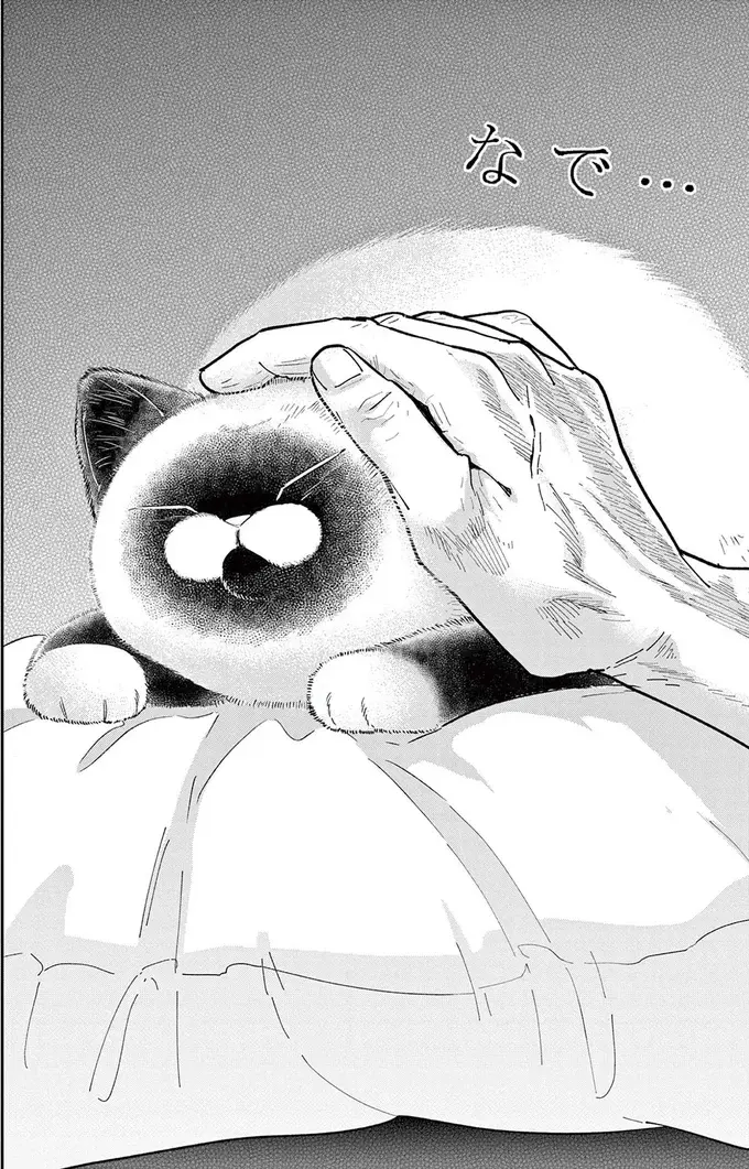 『オヤジとにゃん吉』（266）