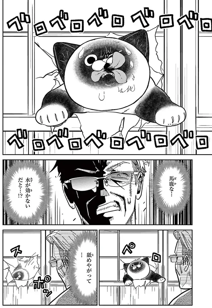 勝手に侵入してくる野良猫VS伝説の極道。「最大の弱点」で撃退を試みるも!?／オヤジとにゃん吉（5）