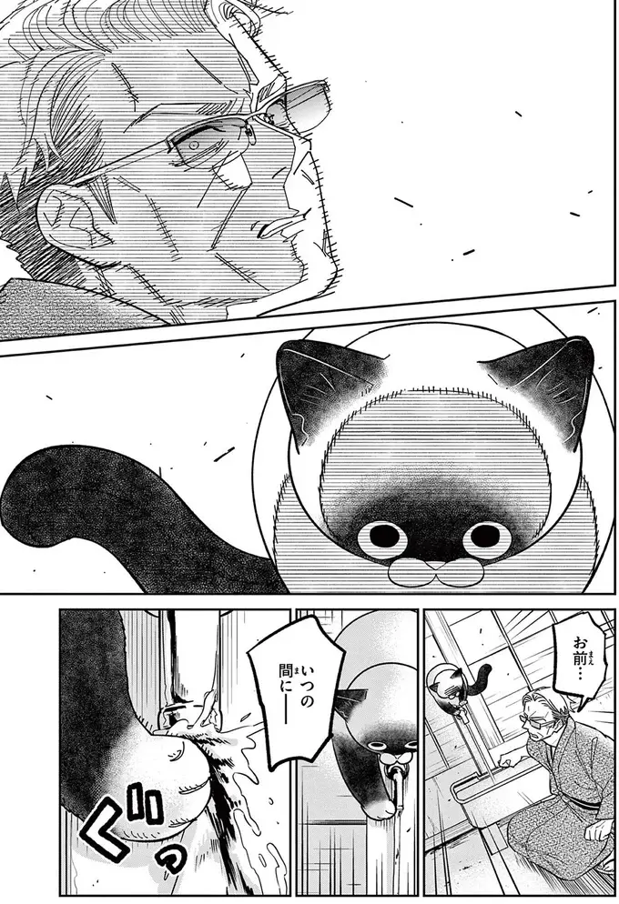 勝手に侵入してくる野良猫VS伝説の極道。「最大の弱点」で撃退を試みるも!?／オヤジとにゃん吉（16）