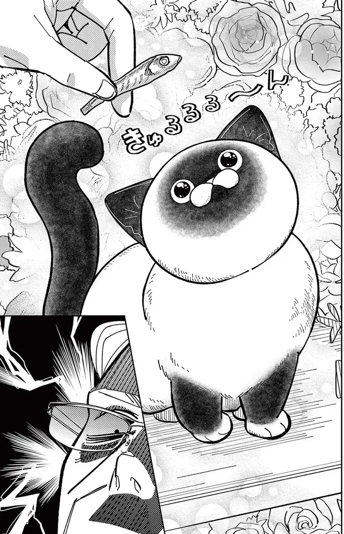 「舐め切った態度はどこへ!?」キャラ変した野良猫。これが猫被りか！／オヤジとにゃん吉（8）