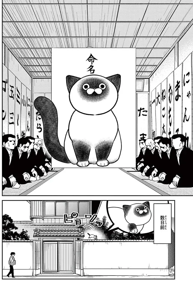 「鉄砲玉の...タマ!?」元極道が野良猫の命名に頭を悩ませていると...／オヤジとにゃん吉（3）