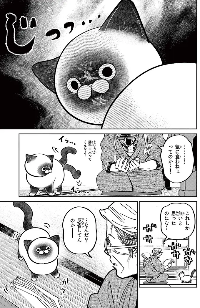 「鉄砲玉の...タマ!?」元極道が野良猫の命名に頭を悩ませていると...／オヤジとにゃん吉（12）