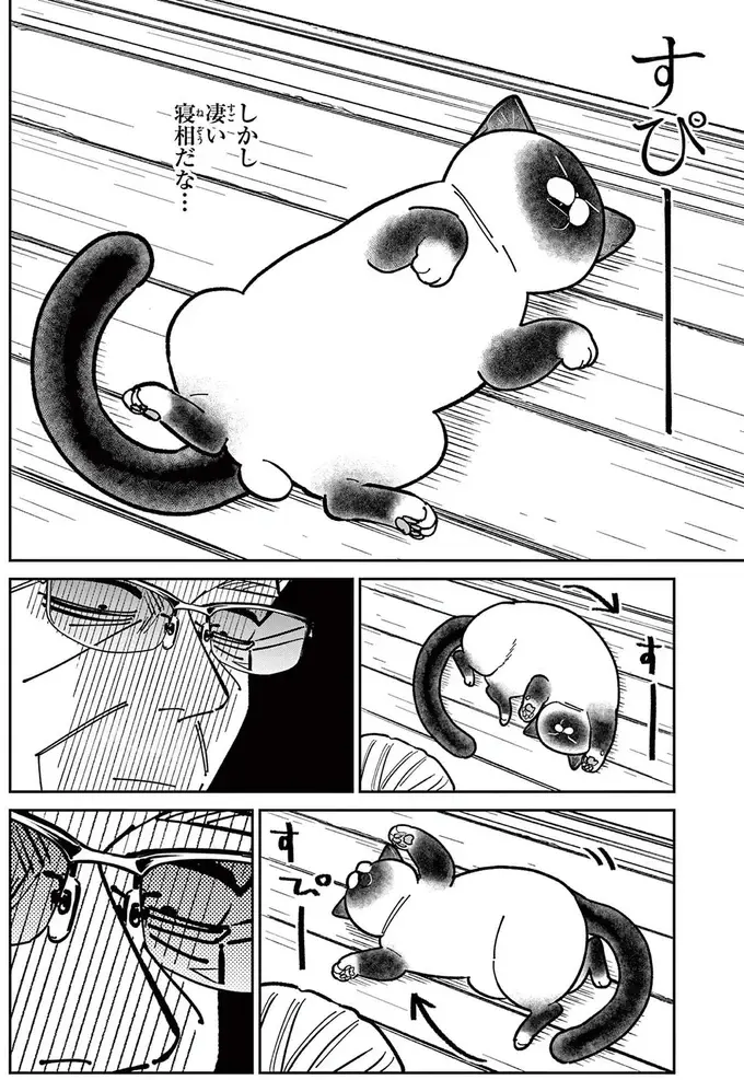 自分の家のようにくつろぐ野良猫。無防備な姿をよく観察すると...／オヤジとにゃん吉（7）