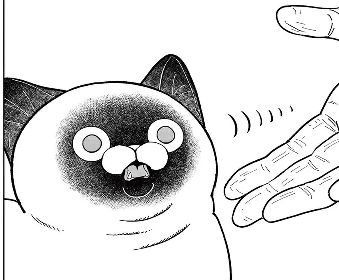 「最凶の男」と恐れられた人物が野良猫に初めてのご挨拶。猫の反応は!?／オヤジとにゃん吉（1）