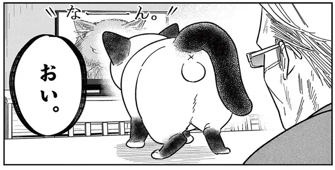 「なんて覇気だ！」いつもはのんびり屋な野良猫。テレビに映る「ボス猫」を見て豹変／オヤジとにゃん吉（1）