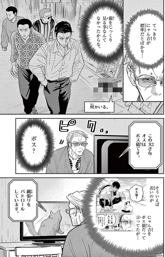 「なんて覇気だ！」いつもはのんびり屋な野良猫。テレビに映る「ボス猫」を見て豹変／オヤジとにゃん吉（6）