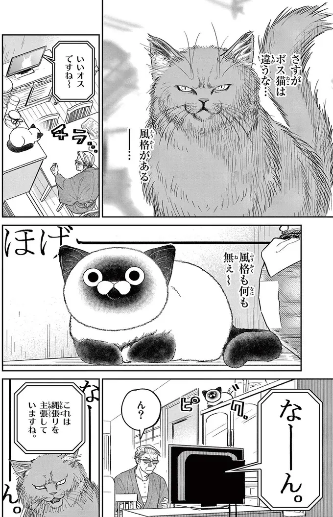 「なんて覇気だ！」いつもはのんびり屋な野良猫。テレビに映る「ボス猫」を見て豹変／オヤジとにゃん吉（7）