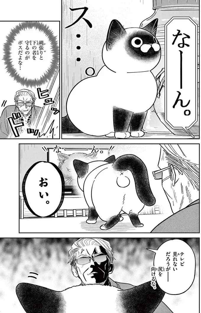 「なんて覇気だ！」いつもはのんびり屋な野良猫。テレビに映る「ボス猫」を見て豹変／オヤジとにゃん吉（8）