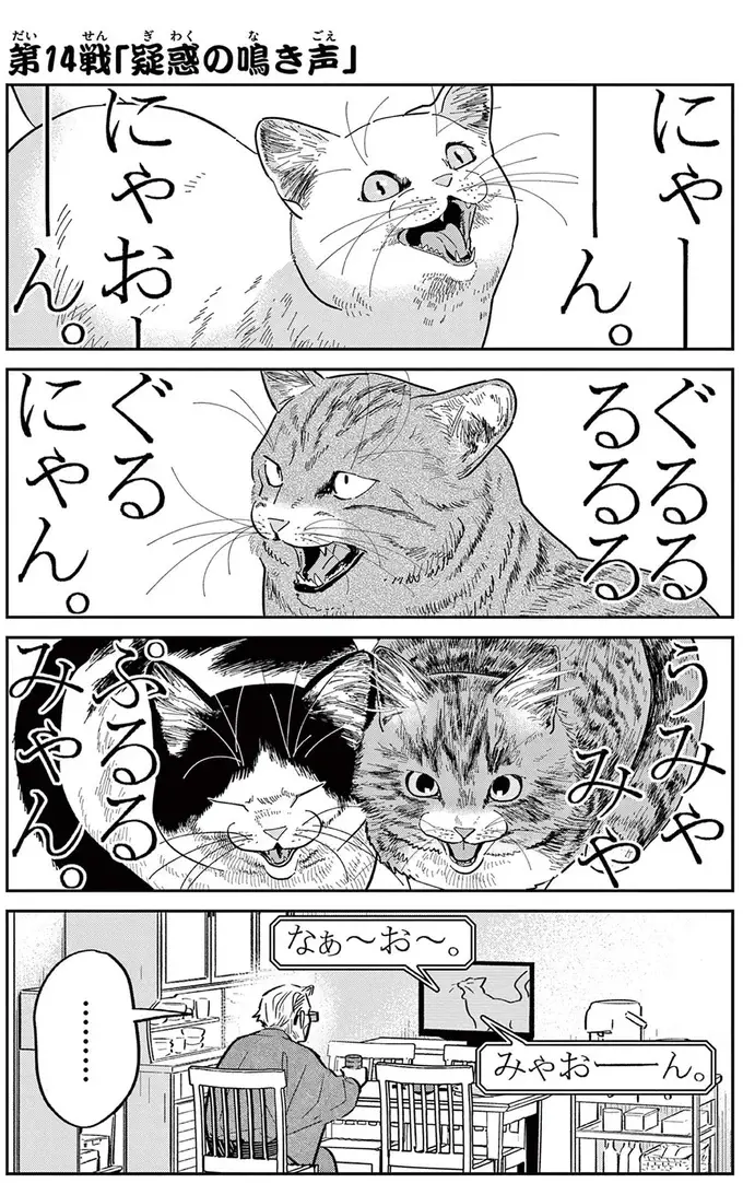 野良猫の鳴き声を聞いてみたい！ あの手この手と仕掛けるものの...／オヤジとにゃん吉（2）