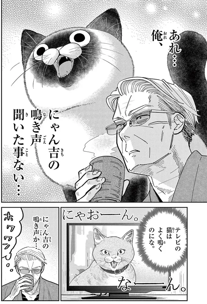 野良猫の鳴き声を聞いてみたい！ あの手この手と仕掛けるものの...／オヤジとにゃん吉（3）