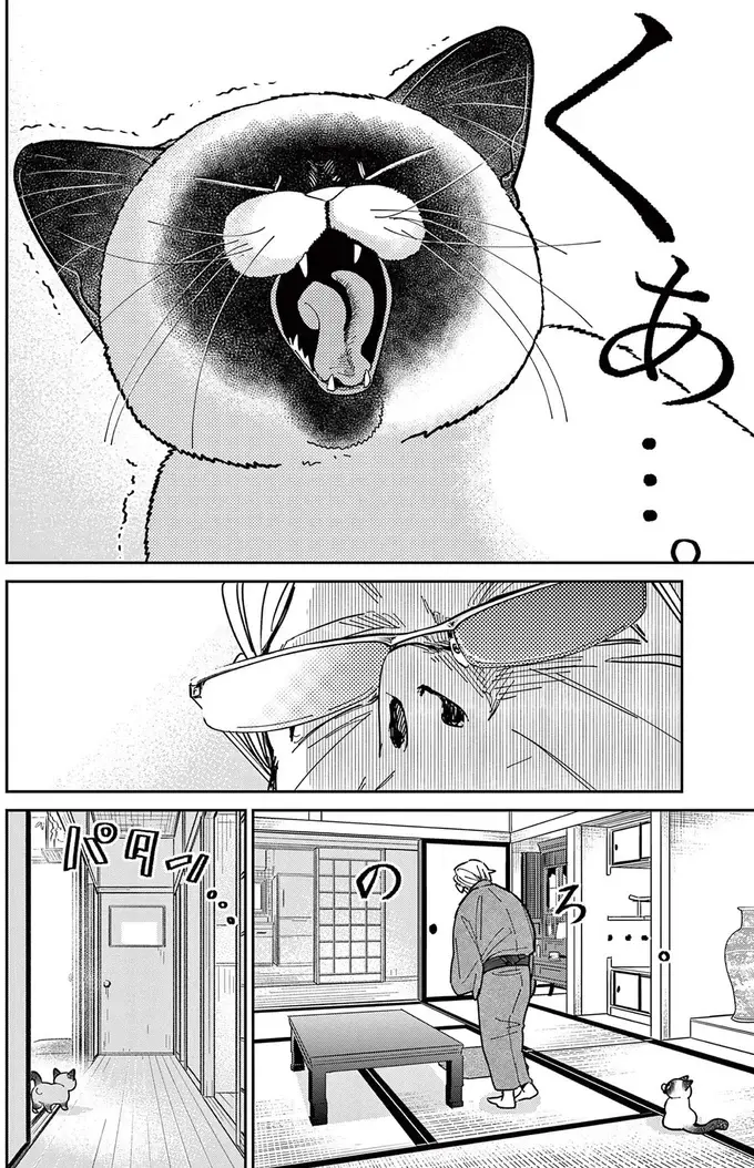野良猫の鳴き声を聞いてみたい！ あの手この手と仕掛けるものの...／オヤジとにゃん吉（9）
