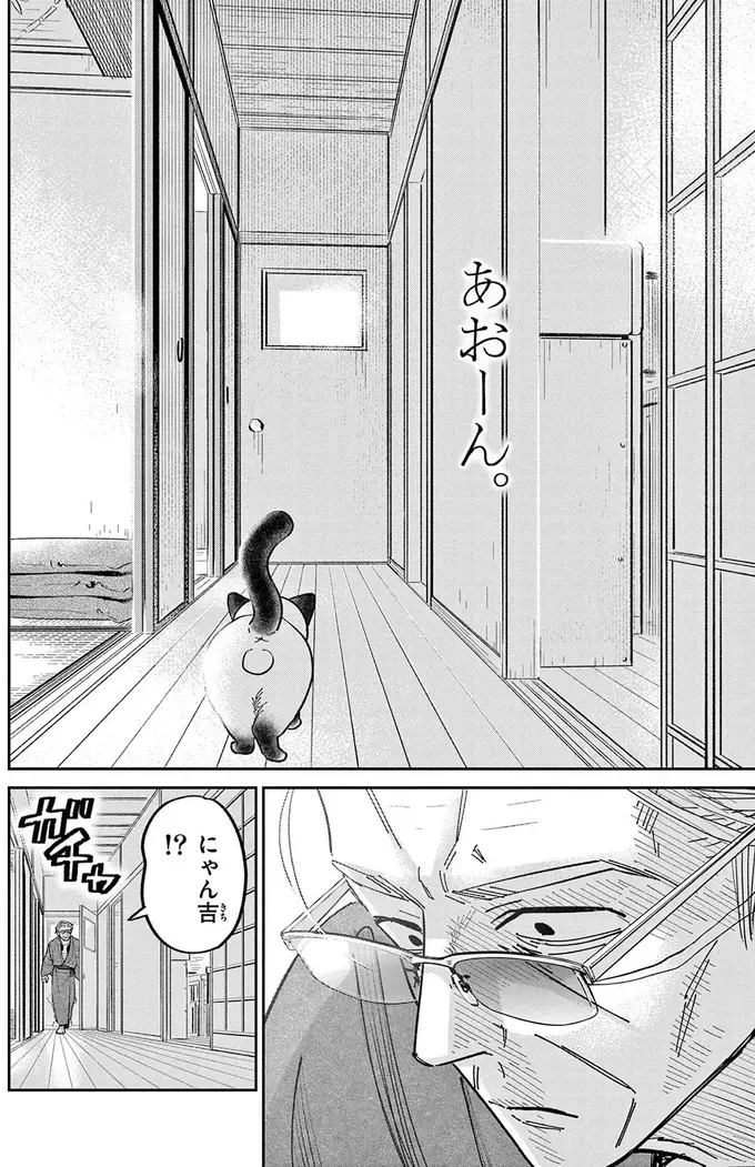 野良猫の鳴き声を聞いてみたい！ あの手この手と仕掛けるものの...／オヤジとにゃん吉（11）