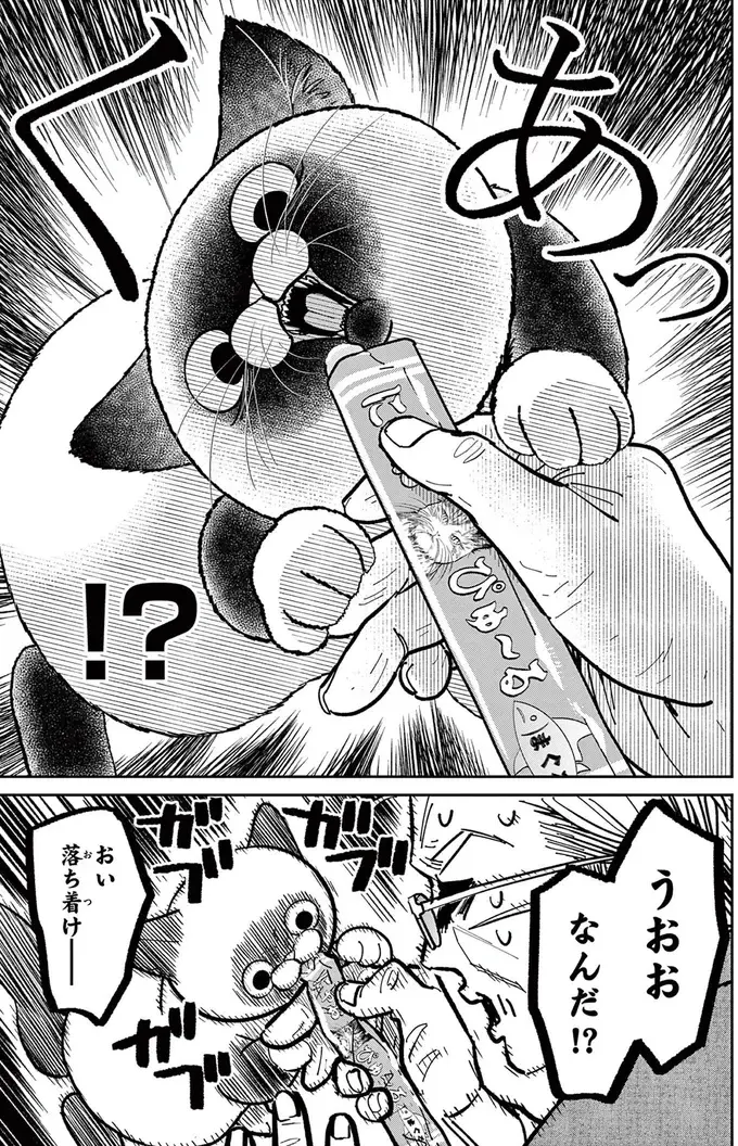 「野良猫を撫でたい！」例のブツの投入で近づいてきたが...えっ？／オヤジとにゃん吉（10）