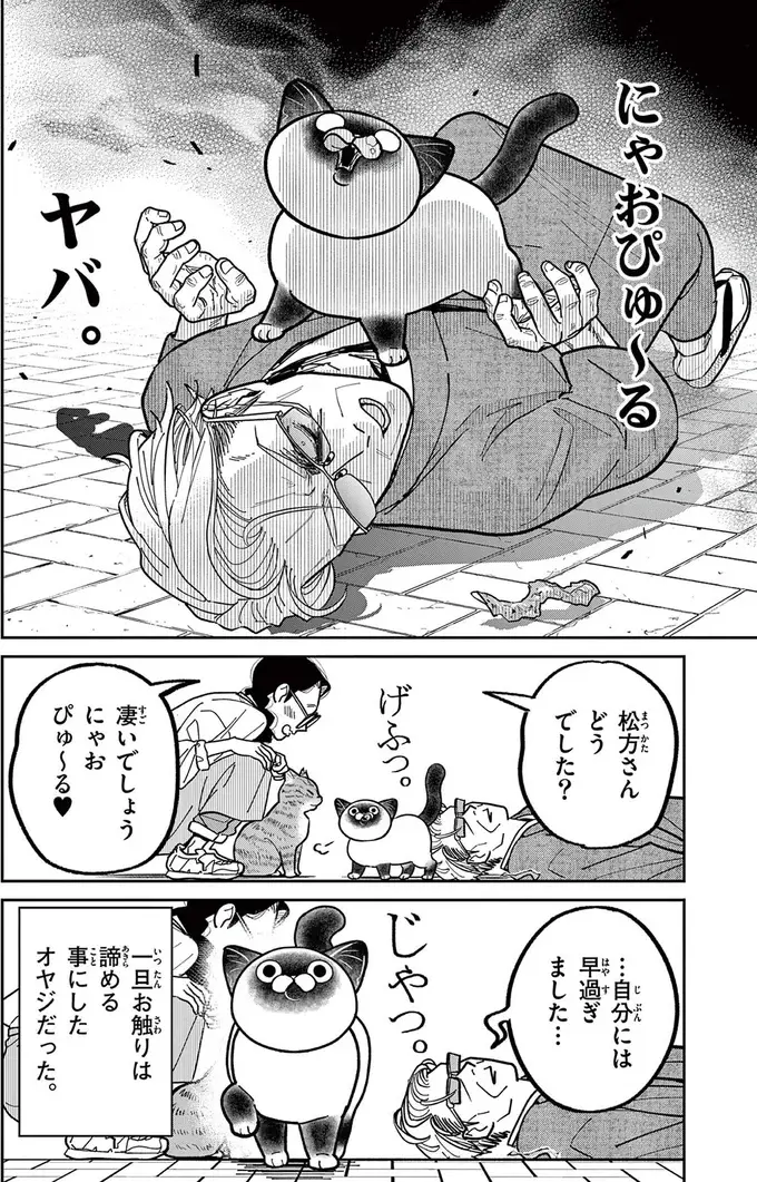 「野良猫を撫でたい！」例のブツの投入で近づいてきたが...えっ？／オヤジとにゃん吉（13）