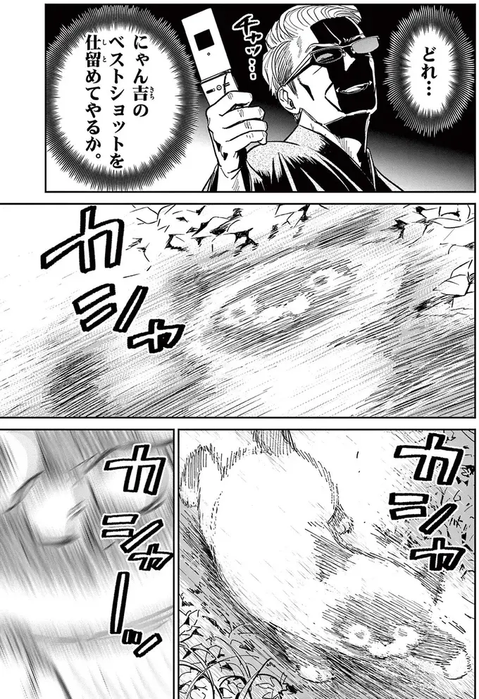 「ベストショットを仕留めてやる」ガラケーで野良猫の撮影にチャレンジ／オヤジとにゃん吉（8）