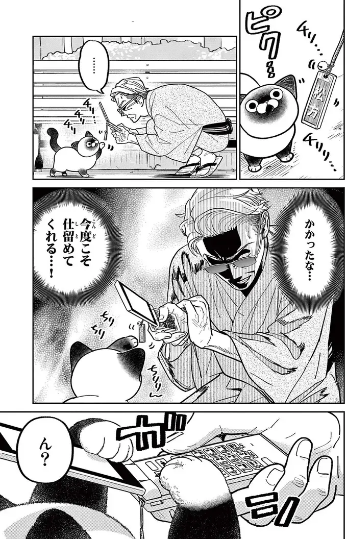 「ベストショットを仕留めてやる」ガラケーで野良猫の撮影にチャレンジ／オヤジとにゃん吉（10）