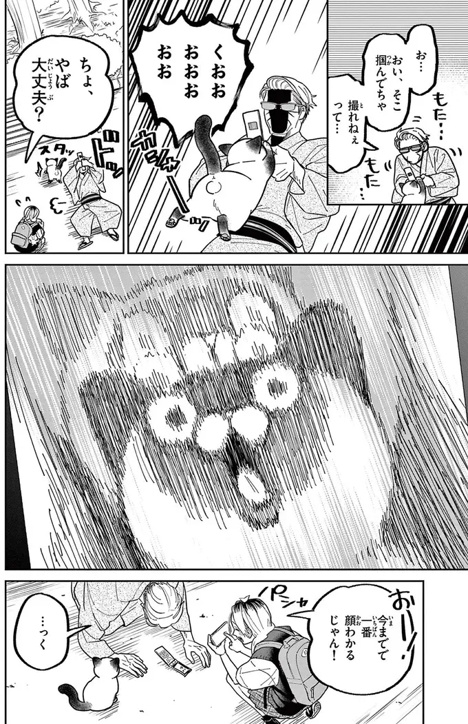 「ベストショットを仕留めてやる」ガラケーで野良猫の撮影にチャレンジ／オヤジとにゃん吉（11）