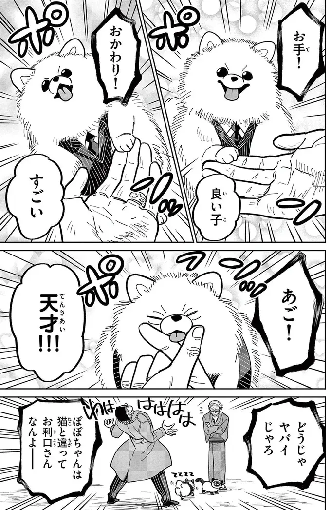 現役時代のライバルが連れてきた犬。野良猫のにゃん吉とのバトルの結果は...んん？／オヤジとにゃん吉（6）