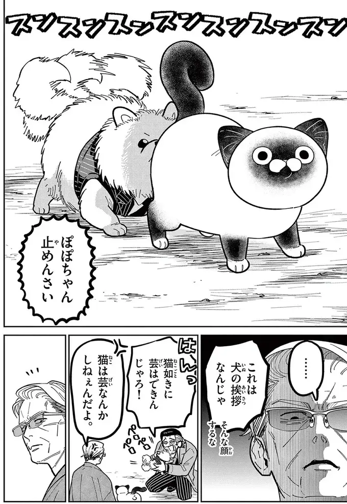 現役時代のライバルが連れてきた犬。野良猫のにゃん吉とのバトルの結果は...んん？／オヤジとにゃん吉（7）