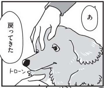 愛犬が若い頃に現れた「症状」。この病気が、家族の結束につながった／愛犬グミと銀次郎と過ごした日々（1）