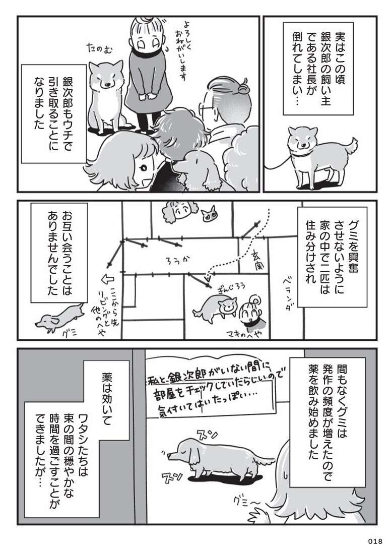 愛犬が若い頃に現れた「症状」。この病気が、家族の結束につながった／愛犬グミと銀次郎と過ごした日々（4）