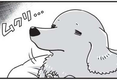 シニアの愛犬たちの夜。トイレの場所がわからなくて...／愛犬グミと銀次郎と過ごした日々（1）