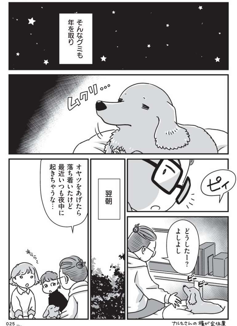 シニアの愛犬たちの夜。トイレの場所がわからなくて...／愛犬グミと銀次郎と過ごした日々（3）