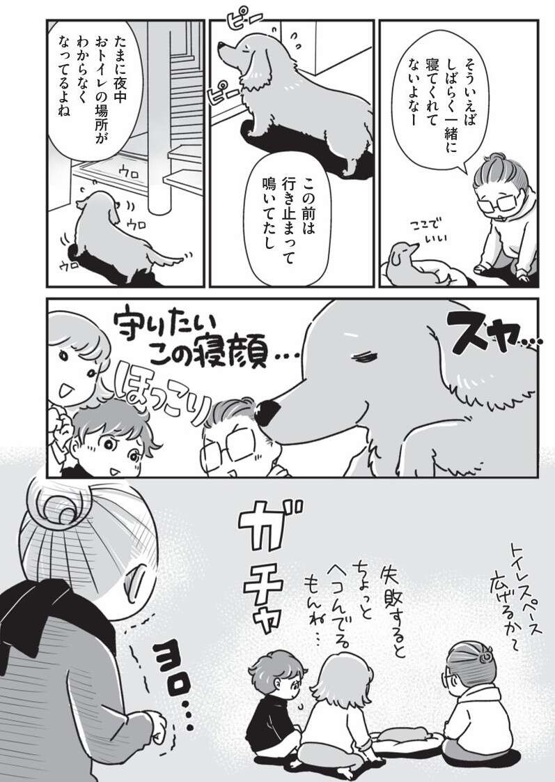 シニアの愛犬たちの夜。トイレの場所がわからなくて...／愛犬グミと銀次郎と過ごした日々（4）