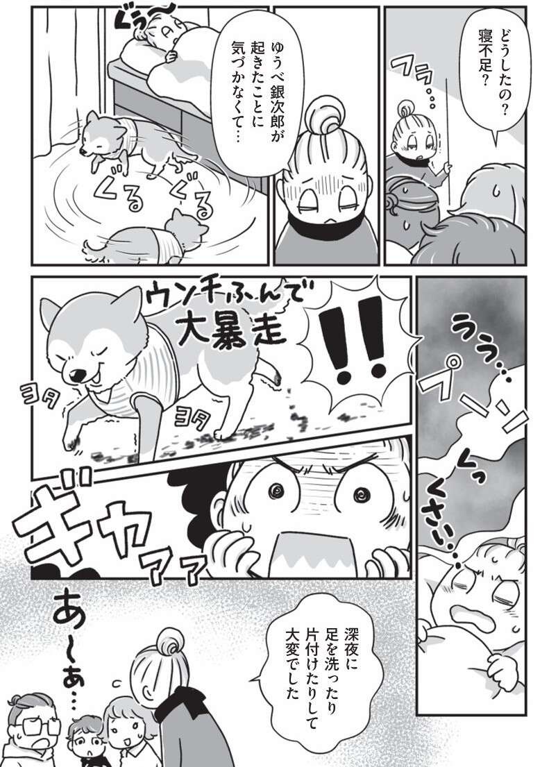 シニアの愛犬たちの夜。トイレの場所がわからなくて...／愛犬グミと銀次郎と過ごした日々（5）