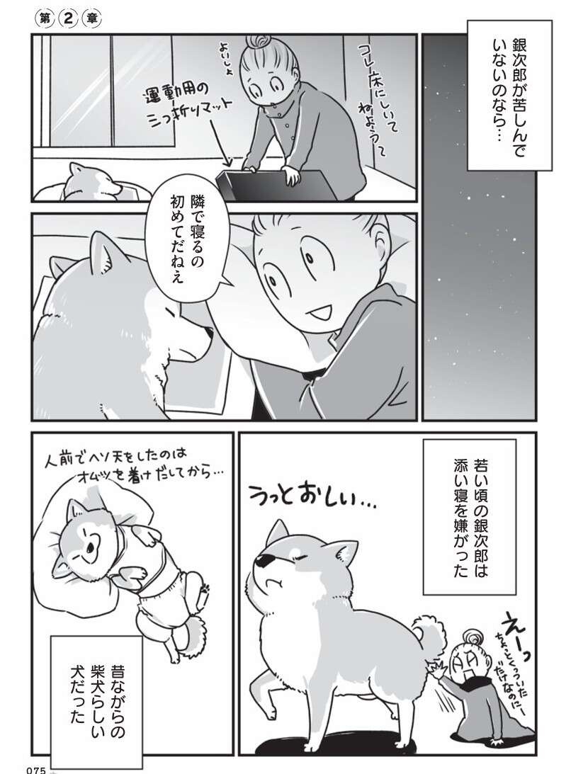 意識がなくなり、旅立っていった柴犬・銀次郎。長い年月を一緒に過ごして／愛犬グミと銀次郎と過ごした日々（3）