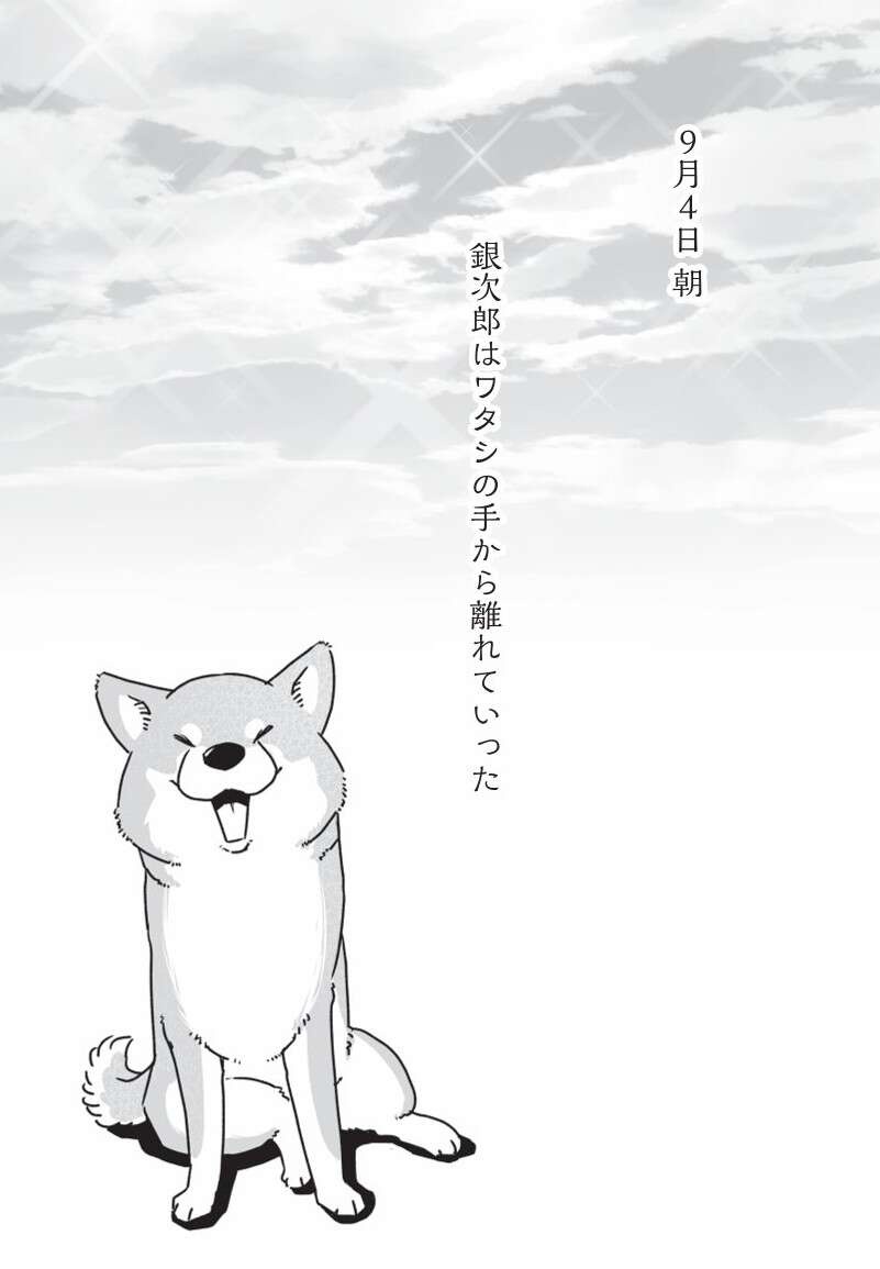 意識がなくなり、旅立っていった柴犬・銀次郎。長い年月を一緒に過ごして／愛犬グミと銀次郎と過ごした日々（5）