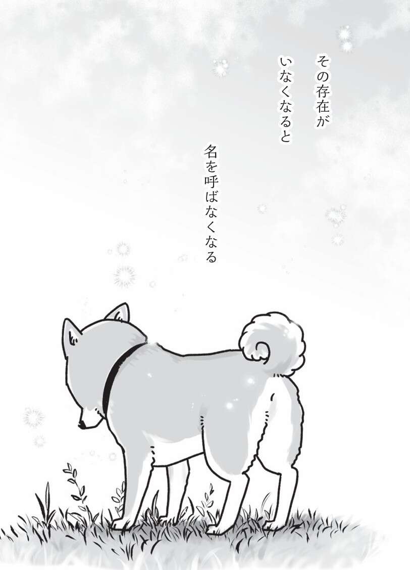 意識がなくなり、旅立っていった柴犬・銀次郎。長い年月を一緒に過ごして／愛犬グミと銀次郎と過ごした日々（7）