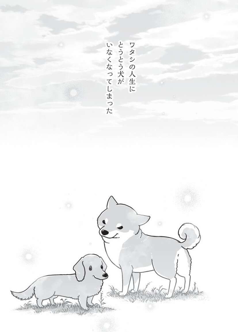 相棒だった愛犬が亡くなり、もう1匹の愛犬も年をとり...／愛犬グミと銀次郎と過ごした日々（2）