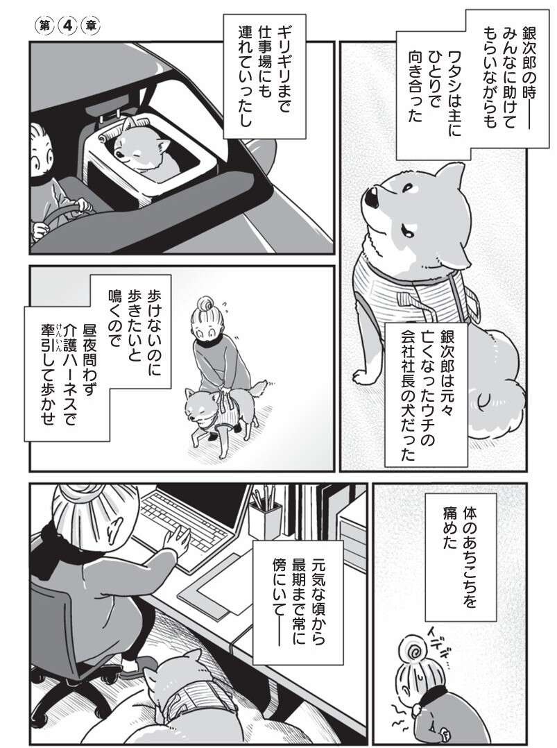 相棒だった愛犬が亡くなり、もう1匹の愛犬も年をとり...／愛犬グミと銀次郎と過ごした日々（3）