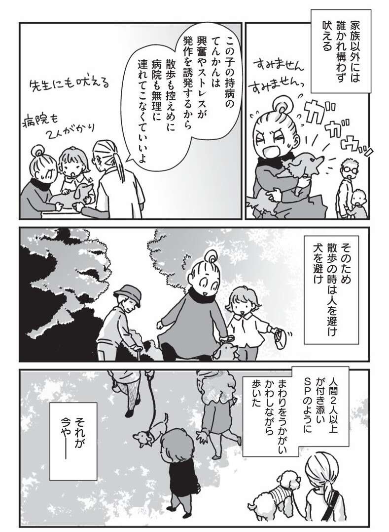 相棒だった愛犬が亡くなり、もう1匹の愛犬も年をとり...／愛犬グミと銀次郎と過ごした日々（6）