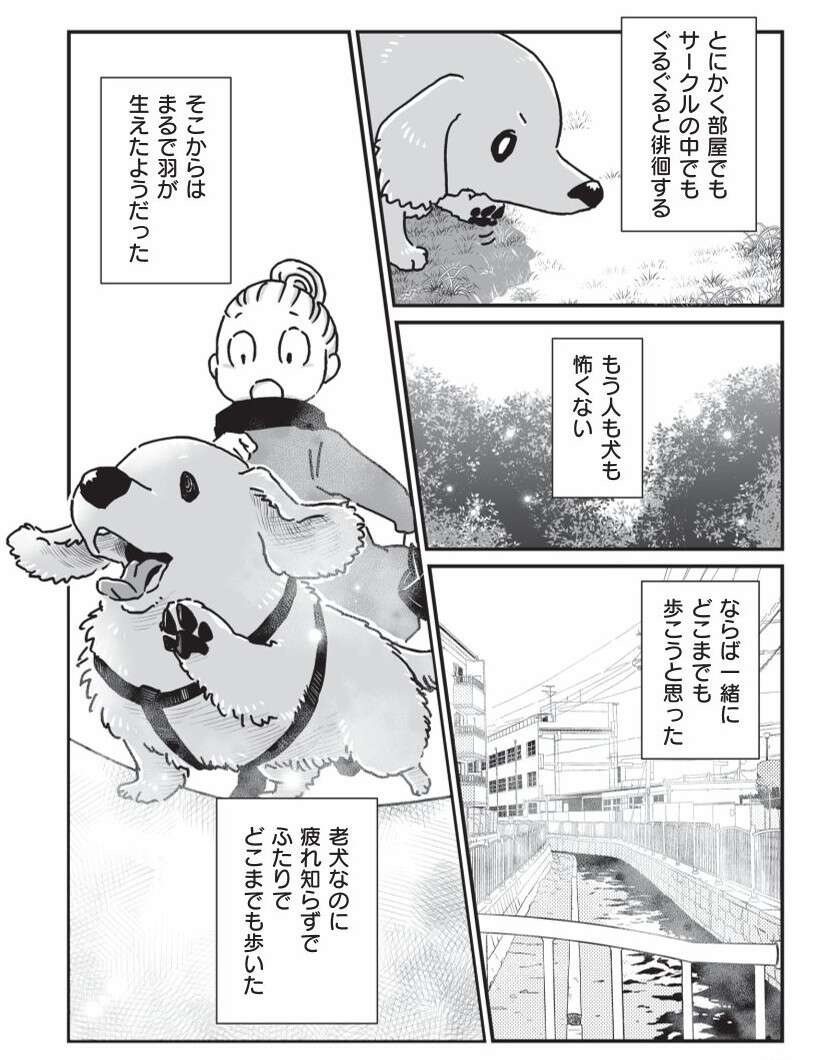 相棒だった愛犬が亡くなり、もう1匹の愛犬も年をとり...／愛犬グミと銀次郎と過ごした日々（8）