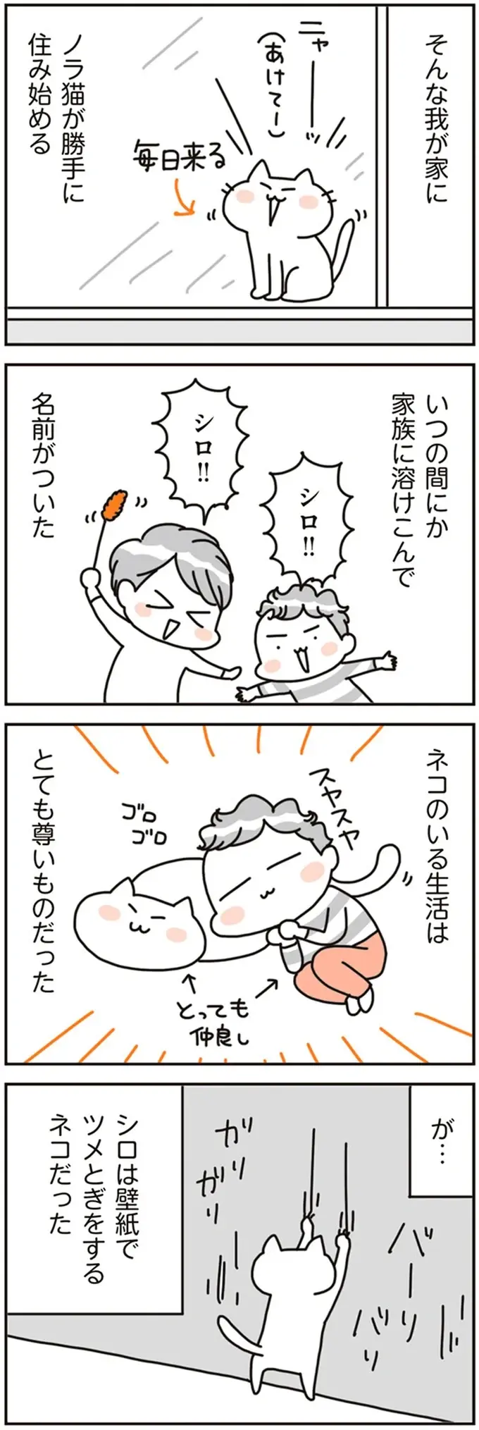 こんなはずでは...こだわりマイホームの「誤算」。BBQ、プール、ペット...理想と現実／こだわりマイホームを手放して（4）