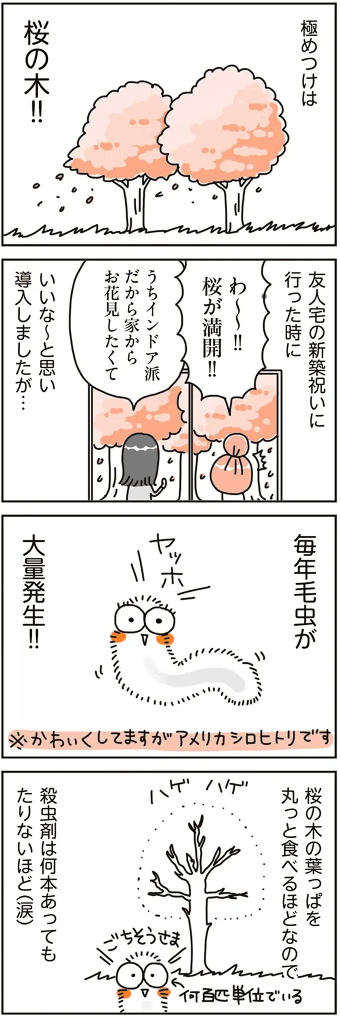 時間もお金もかかる！ マイホームに庭を設けたが...想像以上に大変だった！／こだわりマイホームを手放して（4）