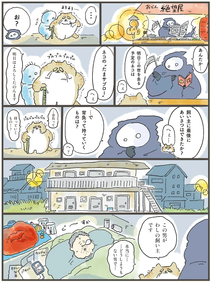 この世を去るとき飼い主の不幸を持っていける!? 老猫が選んだものは...／天国での暮らしはどうですか（2）