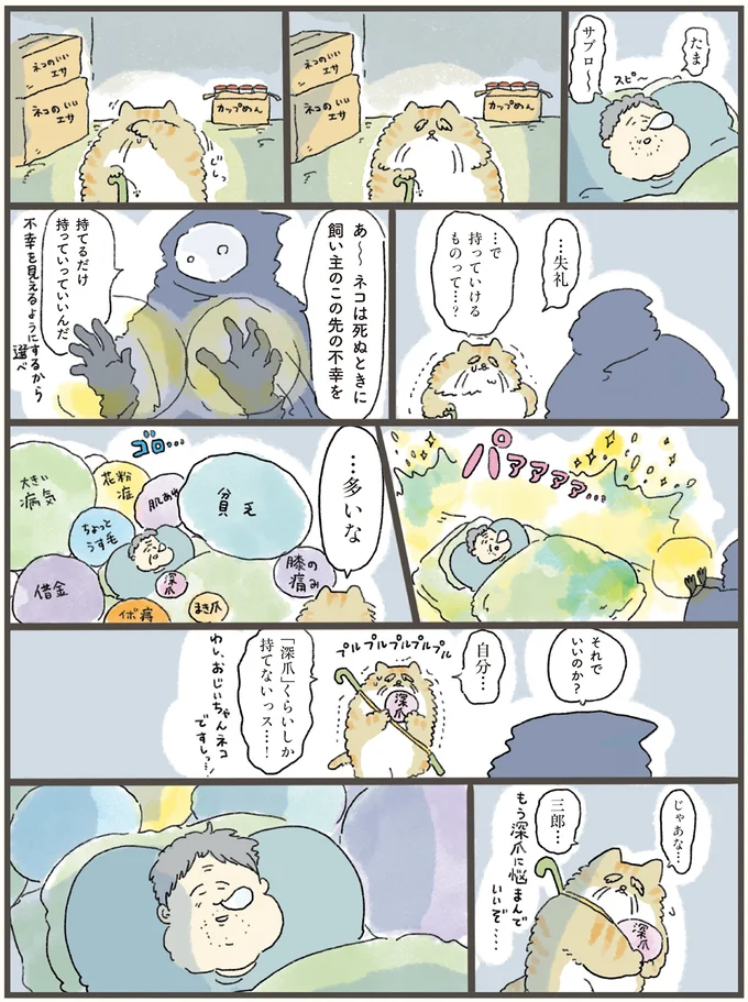 この世を去るとき飼い主の不幸を持っていける!? 老猫が選んだものは...／天国での暮らしはどうですか（3）